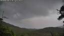 ./images/calvert/fitz-hugh-hecate/20250805/fitz-hugh-hecate20250805_194509M.jpg