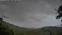 ./images/calvert/fitz-hugh-hecate/20250805/fitz-hugh-hecate20250805_201009M.jpg