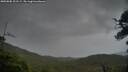 ./images/calvert/fitz-hugh-hecate/20250805/fitz-hugh-hecate20250805_201508M.jpg