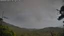 ./images/calvert/fitz-hugh-hecate/20250805/fitz-hugh-hecate20250805_202007M.jpg