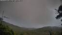 ./images/calvert/fitz-hugh-hecate/20250805/fitz-hugh-hecate20250805_202508M.jpg