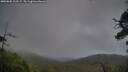./images/calvert/fitz-hugh-hecate/20250805/fitz-hugh-hecate20250805_203509M.jpg