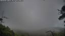 ./images/calvert/fitz-hugh-hecate/20250805/fitz-hugh-hecate20250805_204009M.jpg