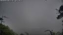 ./images/calvert/fitz-hugh-hecate/20250805/fitz-hugh-hecate20250805_204509M.jpg