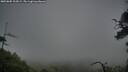 ./images/calvert/fitz-hugh-hecate/20250805/fitz-hugh-hecate20250805_205008M.jpg