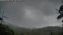 ./images/calvert/fitz-hugh-hecate/20250805/fitz-hugh-hecate20250805_205508M.jpg