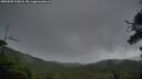 ./images/calvert/fitz-hugh-hecate/20250805/fitz-hugh-hecate20250805_210008M.jpg