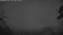 ./images/calvert/fitz-hugh-hecate/20250805/fitz-hugh-hecate20250805_214508M.jpg