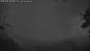 ./images/calvert/fitz-hugh-hecate/20250805/fitz-hugh-hecate20250805_215009M.jpg