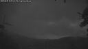 ./images/calvert/fitz-hugh-hecate/20250805/fitz-hugh-hecate20250805_215508M.jpg