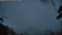 ./images/calvert/fitz-hugh-hecate/20250806/fitz-hugh-hecate20250806_053508M.jpg
