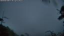 ./images/calvert/fitz-hugh-hecate/20250806/fitz-hugh-hecate20250806_054009M.jpg