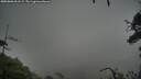 ./images/calvert/fitz-hugh-hecate/20250806/fitz-hugh-hecate20250806_061509M.jpg