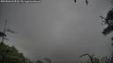 ./images/calvert/fitz-hugh-hecate/20250806/fitz-hugh-hecate20250806_064510M.jpg