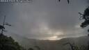 ./images/calvert/fitz-hugh-hecate/20250806/fitz-hugh-hecate20250806_075510M.jpg