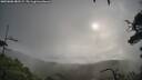 ./images/calvert/fitz-hugh-hecate/20250806/fitz-hugh-hecate20250806_082509M.jpg