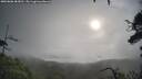 ./images/calvert/fitz-hugh-hecate/20250806/fitz-hugh-hecate20250806_083011M.jpg