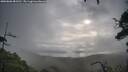 ./images/calvert/fitz-hugh-hecate/20250806/fitz-hugh-hecate20250806_083510M.jpg