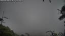 ./images/calvert/fitz-hugh-hecate/20250806/fitz-hugh-hecate20250806_095008M.jpg