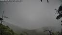 ./images/calvert/fitz-hugh-hecate/20250806/fitz-hugh-hecate20250806_102509M.jpg
