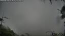 ./images/calvert/fitz-hugh-hecate/20250806/fitz-hugh-hecate20250806_110508M.jpg