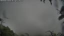 ./images/calvert/fitz-hugh-hecate/20250806/fitz-hugh-hecate20250806_111010M.jpg
