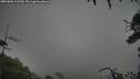 ./images/calvert/fitz-hugh-hecate/20250806/fitz-hugh-hecate20250806_112509M.jpg