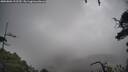 ./images/calvert/fitz-hugh-hecate/20250806/fitz-hugh-hecate20250806_122510M.jpg