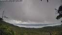 ./images/calvert/fitz-hugh-hecate/20250806/fitz-hugh-hecate20250806_131009M.jpg