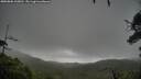 ./images/calvert/fitz-hugh-hecate/20250806/fitz-hugh-hecate20250806_135010M.jpg