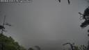 ./images/calvert/fitz-hugh-hecate/20250806/fitz-hugh-hecate20250806_141008M.jpg