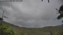 ./images/calvert/fitz-hugh-hecate/20250806/fitz-hugh-hecate20250806_142510M.jpg