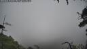 ./images/calvert/fitz-hugh-hecate/20250806/fitz-hugh-hecate20250806_151510M.jpg