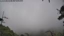 ./images/calvert/fitz-hugh-hecate/20250806/fitz-hugh-hecate20250806_155510M.jpg