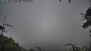 ./images/calvert/fitz-hugh-hecate/20250806/fitz-hugh-hecate20250806_160507M.jpg