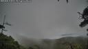 ./images/calvert/fitz-hugh-hecate/20250806/fitz-hugh-hecate20250806_164510M.jpg