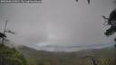 ./images/calvert/fitz-hugh-hecate/20250806/fitz-hugh-hecate20250806_165010M.jpg
