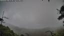 ./images/calvert/fitz-hugh-hecate/20250806/fitz-hugh-hecate20250806_170509M.jpg