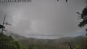 ./images/calvert/fitz-hugh-hecate/20250806/fitz-hugh-hecate20250806_171010M.jpg