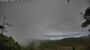 ./images/calvert/fitz-hugh-hecate/20250806/fitz-hugh-hecate20250806_174510M.jpg