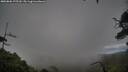 ./images/calvert/fitz-hugh-hecate/20250806/fitz-hugh-hecate20250806_175510M.jpg