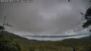 ./images/calvert/fitz-hugh-hecate/20250806/fitz-hugh-hecate20250806_185507M.jpg