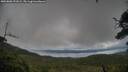 ./images/calvert/fitz-hugh-hecate/20250806/fitz-hugh-hecate20250806_191008M.jpg