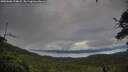 ./images/calvert/fitz-hugh-hecate/20250806/fitz-hugh-hecate20250806_194007M.jpg
