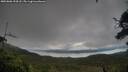./images/calvert/fitz-hugh-hecate/20250806/fitz-hugh-hecate20250806_194507M.jpg