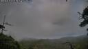 ./images/calvert/fitz-hugh-hecate/20250806/fitz-hugh-hecate20250806_201508M.jpg