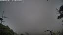 ./images/calvert/fitz-hugh-hecate/20250806/fitz-hugh-hecate20250806_204507M.jpg