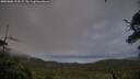 ./images/calvert/fitz-hugh-hecate/20250806/fitz-hugh-hecate20250806_212508M.jpg