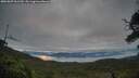 ./images/calvert/fitz-hugh-hecate/20250807/fitz-hugh-hecate20250807_061510M.jpg