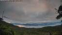 ./images/calvert/fitz-hugh-hecate/20250807/fitz-hugh-hecate20250807_062008M.jpg